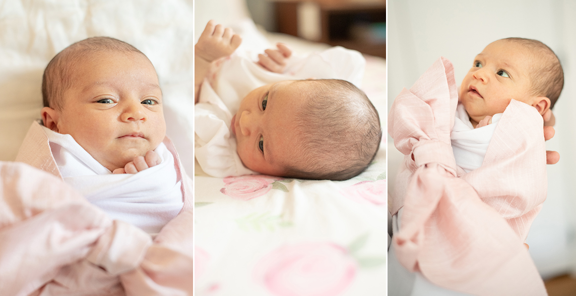 raleigh newborn photography