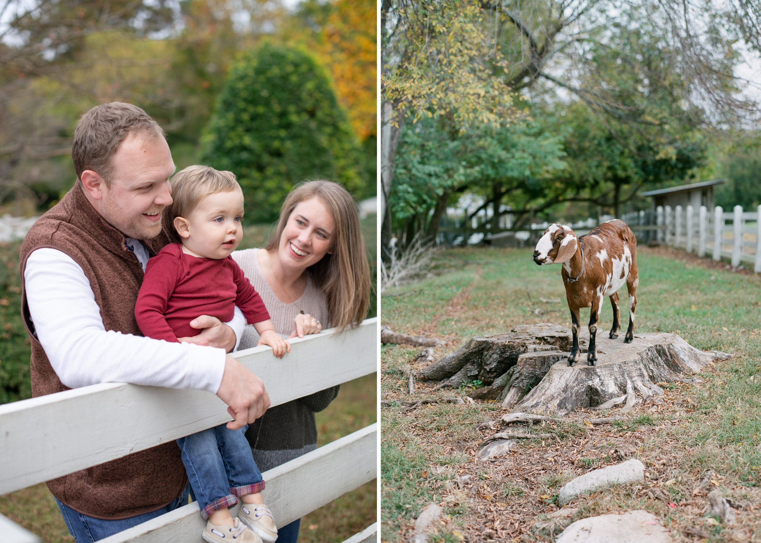 raleigh, nc family portrait photography